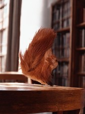 Figurine écureuil ancienne