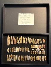 Préhistoire Outils