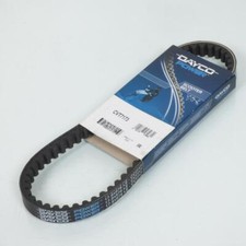 Courroie de transmission pour