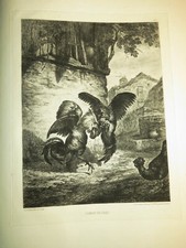 Joseph trouilleux gravure - joseph,