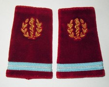 PAIRE DE FOURREAUX D'EPAULES