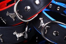 Motif collier bullterrier - motif,