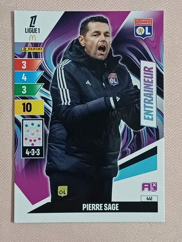 Panini adrenalyn ligue1 - adrenalyn,