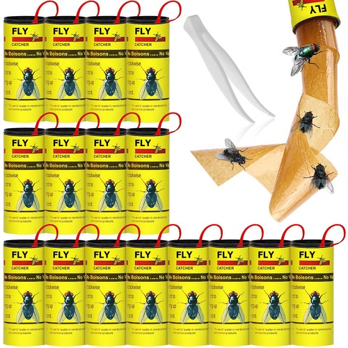Lot attrape mouches - lot, de