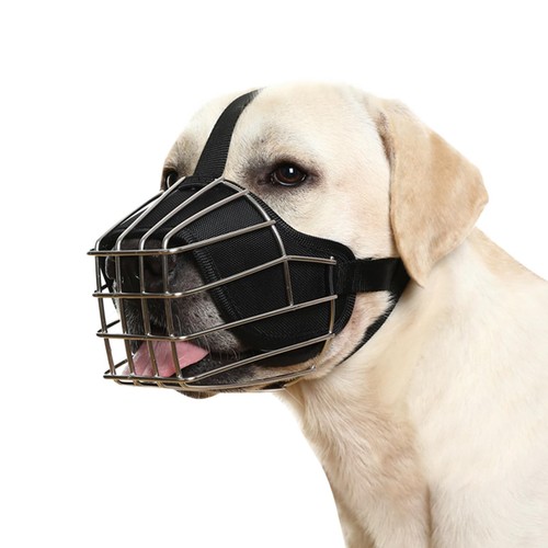 Muselière pour chien - pour,