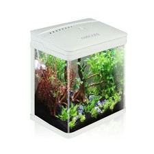 Aquarium en Verre avec