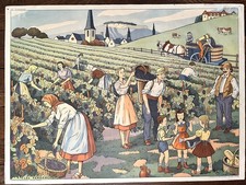 🍇 Ancienne affiche scolaire
