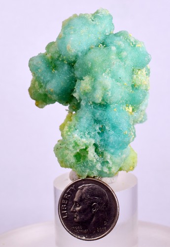 7cms melanterite stalactite - 4.7cms,