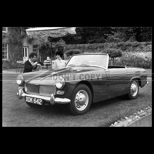 Photo 014794 midget - photo,