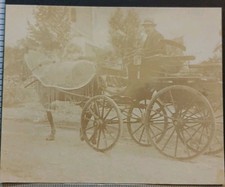 D33 Cambes Une Calèche Cheval