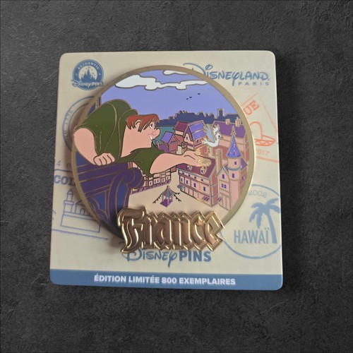 Pin disney quasimodo france - disney,