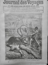 1870 1879 PIEUVRE GEANTE