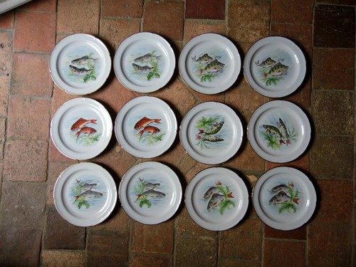 Service poisson 12 - à,