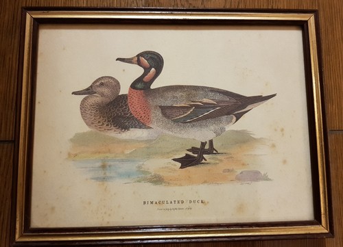 Original ancien imprimé
