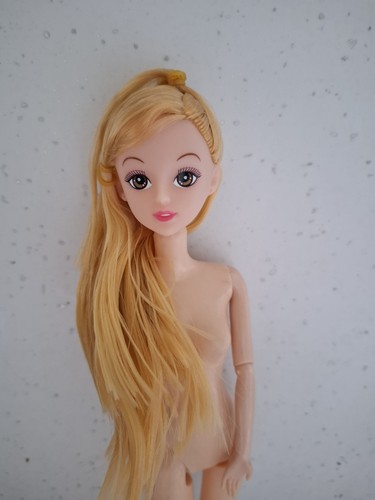 Torso membres plastique - membres,