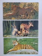 3 Cartes Merveilles du Monde - NESTLE - N° 11-13-14