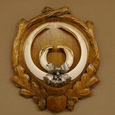 Wildschweinwaffen (Sus Scrofa)