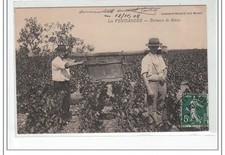 LES VENDANGES - Porteurs de