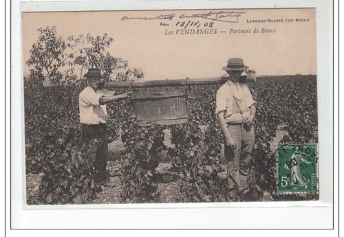 Les vendanges porteurs de - vendanges,