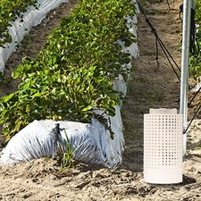 Bac à compost de jardin pour un entretien facile et une transformation efficace