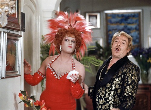 Photo cage aux folles 1978 - cage,