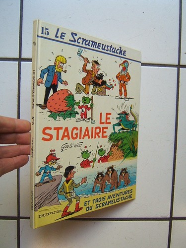 Gos scrameustache 15 - scrameustache, /