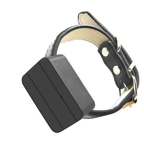 Collier avec tracker gps - collier,