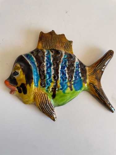 ❤️Superbe poisson en