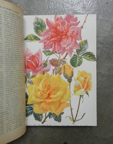 Revue horticole martinet - revue,
