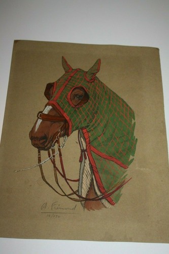 Lithographie ancienne - 🐎,