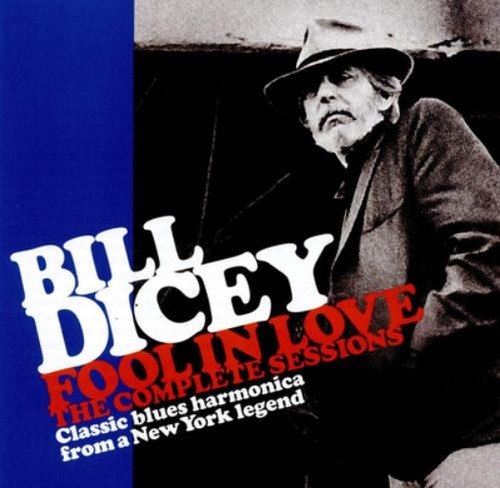 Bill dicey fool - bill,