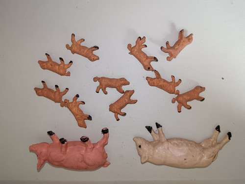 Acedo ferme lot - lot, truie,
