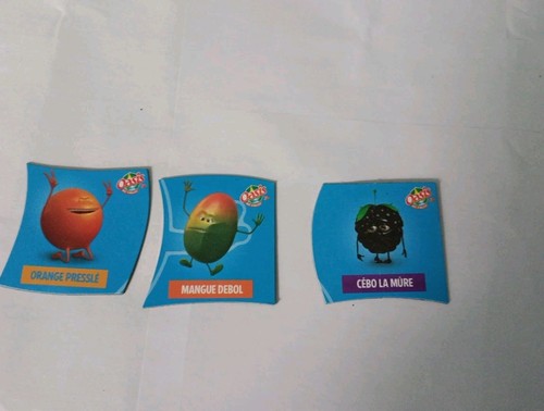 Magnets petit oasis 2013 - petit,