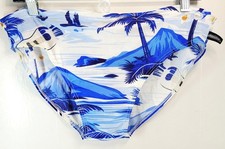 AussieBum Men’s M 26" Swim