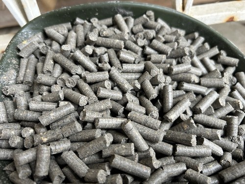 10kg pellets carpe squid - 10kg,