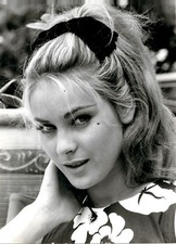 G.GRAD -Le gendarme de St tropez- J.Girault  - 1964  - 17 x 23 cm 