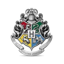 Pin's Harry Potter en argent