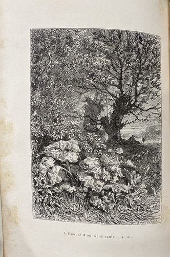 Monde des insectes - monde,