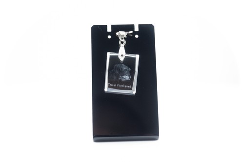 Teckel poil dur pendentif - à,