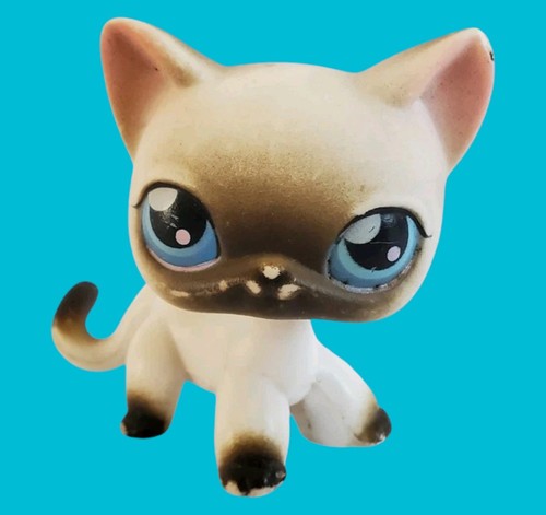 Lps petshop hasbro - #5, chat