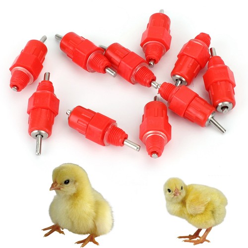 Kit poulet alimentateur - 10,