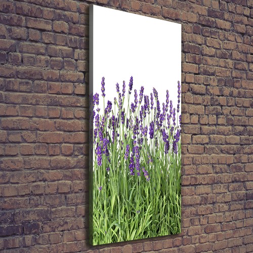 Tulup tableau sur toile - tulup,