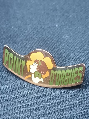 Pin vintage pins collector - pin's,