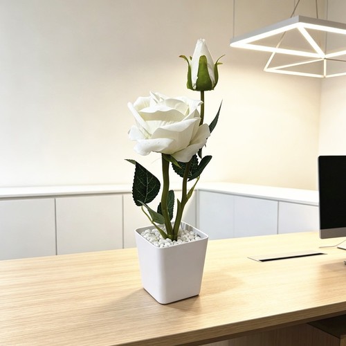 Pot fleurs plastique - de, en