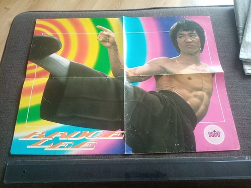 Rare bruce lee poster 1975 - bruce,