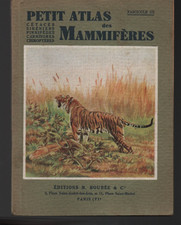 Atlas Boubée Les mammifères Cétacés Siréniens Carnivores Pinnipèdes Chiroptères