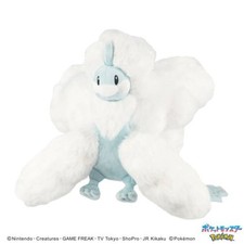 PELUCHE (PLUSH) POKEMON ALL