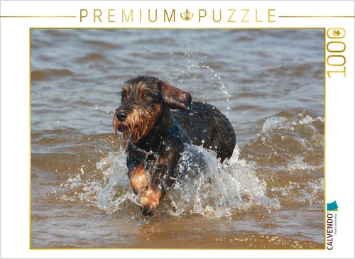 Puzzle calvendo teckel poil - calvendo, à