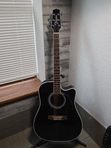 Takamine ef341sc string - ef341sc, 6