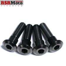 Suzuki RGV250 Titane Arrière